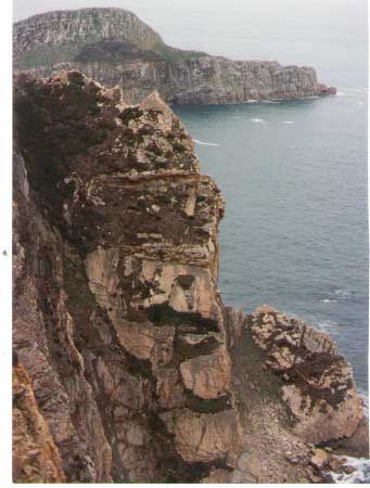 Area oriental de la isla de DEVA (Asturias Central)