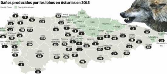 Distribución daños deñ lobo en Asturias año 2015