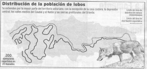 Mapa con la distribución del lobo en Asturias