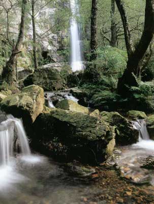 Cascada de Oneta (Villay&oacute;n-Asturias)