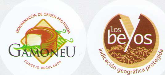 D.O.P. queso Gamonedo y queso Los Beyos (Asturias oriental-España)