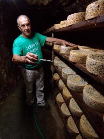 qUESERÍA vEGA DE tORNÍN. cABRALES (aSTURIAS-eSPAÑA)