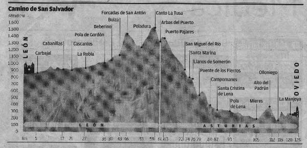 Cotas del Camino del Salvador (León-Oviedo)