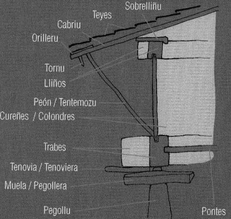 Corte transversal de un hçorreo asturiano.